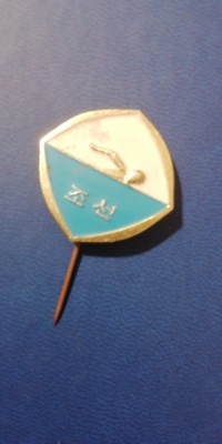 QW9 N5 67 - insigna - sport - natatie - China foto