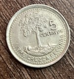 C50 - Moneda foarte veche - Guatemala - 5 centavos - 1995