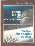 Intr-un camin de domnisoare. Calator din noaptea de ajun - Anisoara Odeanu