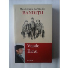 ULTIMI ERETICI AI IMPERIULUI - VASILE ERNU