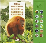 Mica enciclopedie. Glasuri din padurea ecuatoriala | Andrea Pinnington, Caz Buckingham, Aramis