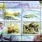 BULGARIA 2008, Fauna, serie neuzata, MNH