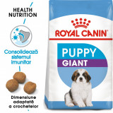 Royal Canin Giant Puppy hrana uscata caine junior etapa 1 de crestere