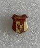 Insigna Fotbal Zimbrul Suceava Metal Colectie