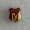 Insigna fotbal Zimbrul Suceava