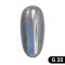 Pigment unghii Holographic Silver G20
