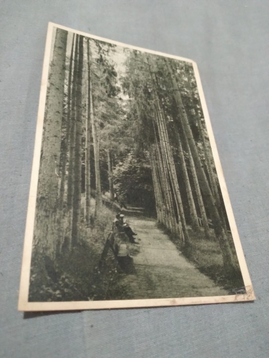 CARTE POSTALA BAZNA CIRCULATA