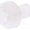 Surub M3, poliamida, lungime 5mm, cap rotund, pas filet 0.5, DREMEC - 8G205M3X05