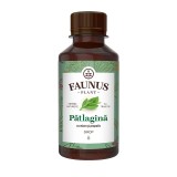 SIROP PATLAGINA CU MIERE SI PROPOLIS 200ML