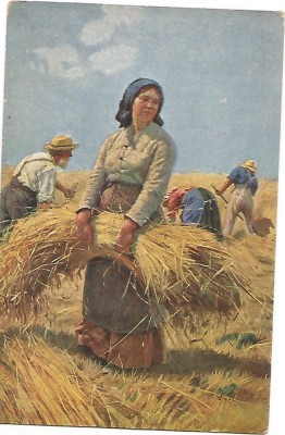 carte postala - LA SECERIS foto