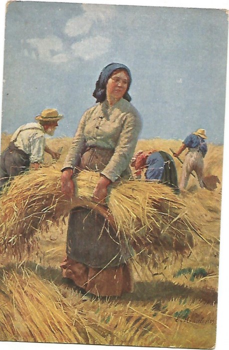 carte postala - LA SECERIS