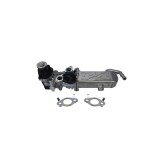 Modul Egr Cu Racitor Gaze 546288 DK33695