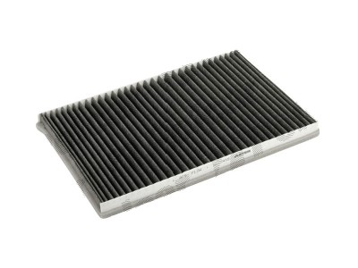 Filtru polen carbon, habitaclu Mg Mg X-Power, Mg Zt, Mg Zt- T; Rover 75 (Rj) Aster foto