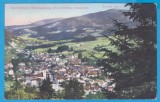 (88) CARTE POSTALA AUSTRO-UNGARIA - MURZZUSCHLAG, Austria, Circulata, Printata