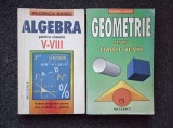 ALGEBRA + GEOMETRIE PENTRU CLASELE VI-VIII - Florica Banu