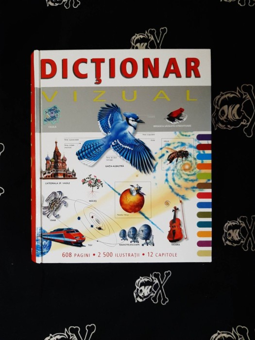 Alina Scurtu - Dictionar vizual