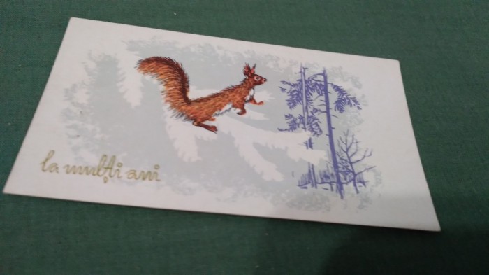 CARTE POSTALA FELICITARE CIRCULATA