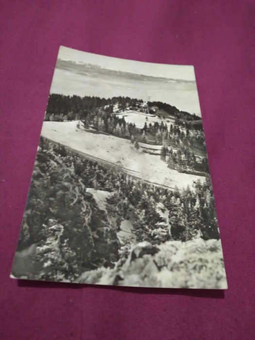 CARTE POSTALA - MASIVUL POSTAVARUL CABANA CRISTIANUL MARE CIRCULATA