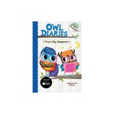 Eva's Big Sleepover: A Branches Book (Owl Diaries #9)