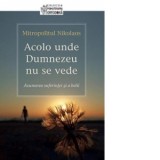 Acolo unde Dumnezeu nu se vede. Asumarea suferintei si a bolii - Nikolaos Mitropolit de Mesogheea si Lavreotiki