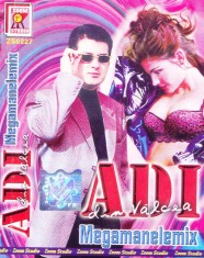 Caseta audio: Adi din Valcea - Megamanelemix ( originala, stare foarte buna )