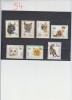 A12 S3 3 - Timbre foarte vechi - Polonia - caini si pisici de rasa, Fauna, Stampilat