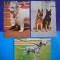 HOPCT LOT 1876 FELICITARI CAINI -3 CARTI POSTALE-NECIRCULATE