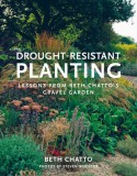 Drought-Resistant Planting: Lessons from Beth Chatto&#039;s Gravel Garden