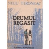 Drumul regasit