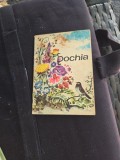 Pochia carte pentru copii