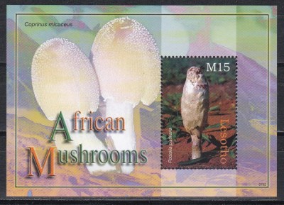 Lesotho 2007 - Ciuperci, Coliță, MNH foto