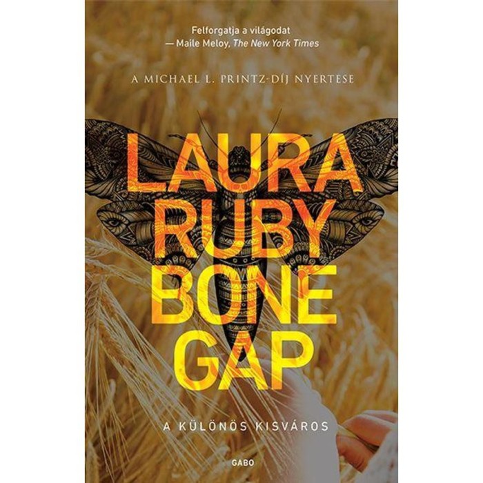 Bone Gap - Laura Ruby