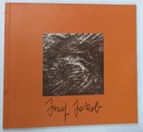 JOSEF JAKOB , PAINTING by AMALIA JAKOB OPHRAT , 1995 * CATALOG DE ARTA , * TEXT IN LIMBILE ENGLEZA SI EBRAICA