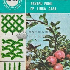 Forme de coroane pentru pomii de langa casa - 1986 - Ioan Militiu (XE109)