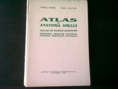 ATLAS DE ANATOMIA OMULUI. SISTEMUL NERVOS CENTRAL - VIOREL RANGA foto