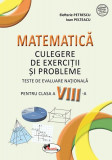Matematică. Culegere de exerciții și probleme. Clasa a VIII-a - Paperback brosat - Elefterie Petrescu, Ioan Pelteacu - Aramis