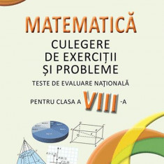 Matematică. Culegere de exerciții și probleme. Clasa a VIII-a - Paperback brosat - Elefterie Petrescu, Ioan Pelteacu - Aramis