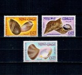Maroc 1965 - Cochilii, moluște, fauna marina, serie neuzata