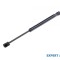 Telescop capota fata Chrysler 300C (2004-2010) [LX,LE] #1