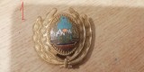 QW14 - Emblema militara / cuc - uscat - comunism - piesa de colectie