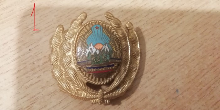 QW14 - Emblema militara / cuc - uscat - comunism - piesa de colectie