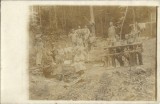 P2849N Turiști &icirc;n pădure, fotografie din perioada interbelică