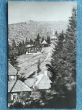 427 - Caransebes - Cabane pe Muntele Mic / carte postala RPR necirculata, Fotografie