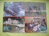HOPCT MAXIMA NR 1064 SET 4 MAXIME MALAEZIA LEOPARDUL PATAT 1995 -FELINE ASIA -FAUNA