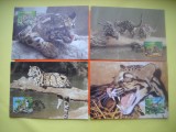 HOPCT MAXIMA NR 1064 SET 4 MAXIME MALAEZIA LEOPARDUL PATAT 1995 -FELINE ASIA -FAUNA