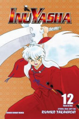 Inuyasha, Volume 12 foto