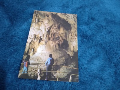 CARTE POSTALA -PESTERA URSILOR CIRCULATA foto