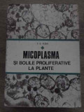 MICOPLASMA SI BOLILE PROLIFERATIVE LA PLANTE-P.G. PLOAIE