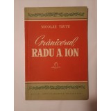 Nicolae Tăutu - Grănicerul Radu A. Ion (Editura Direcției Generale Politice M.A.I.)
