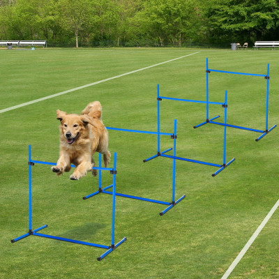 PawHut set din 4 obstacole pentru caini reglabile pe inaltime, 99x71x95, albastru foto